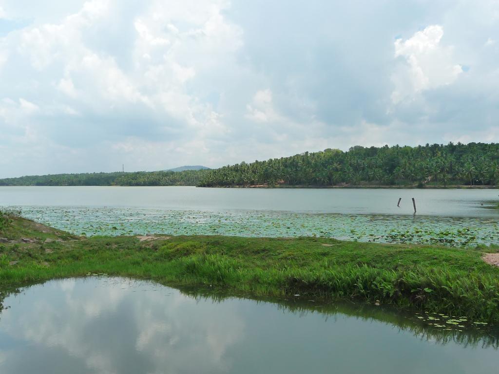 Ganesh Ayurveda Holiday Home Apartment 可瓦兰 外观 照片